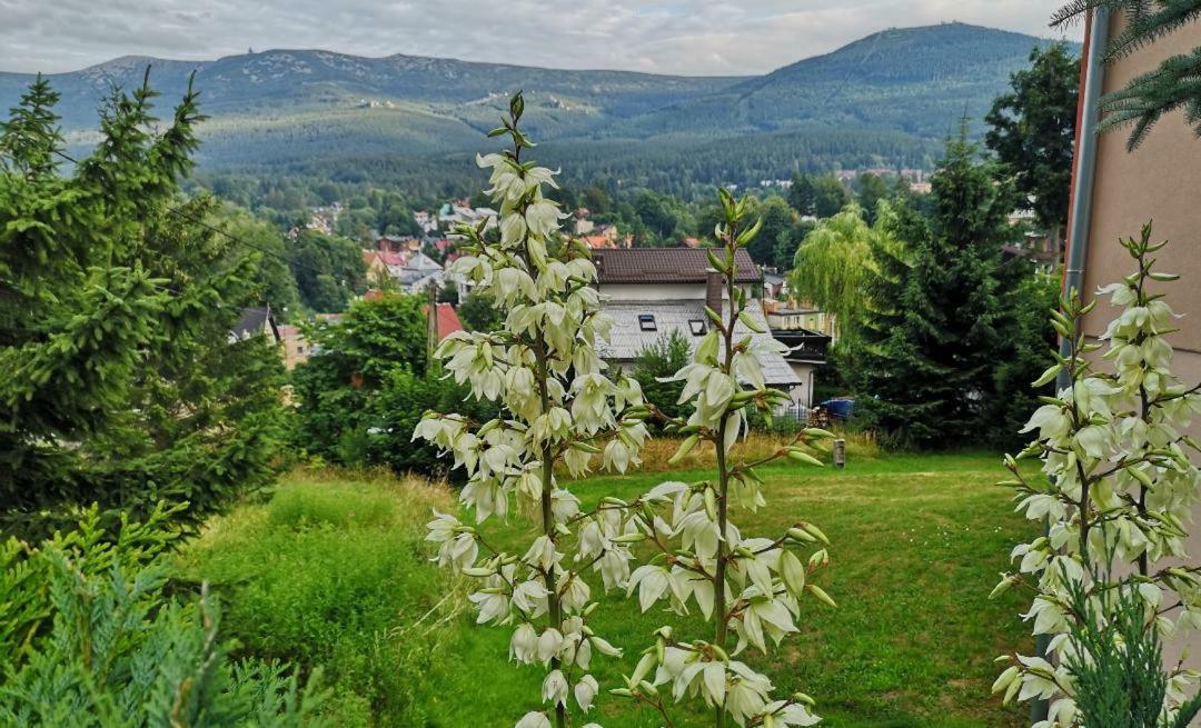 Willa Mona Bed & Breakfast Szklarska Poręba Exterior foto